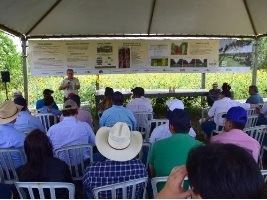 Pesquisadores participam de Reunião Técnica e Dia de Campo sobre ILPF