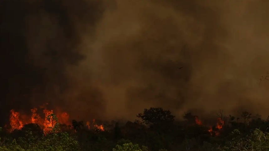 Chuva ajuda a apagar incêndio no Parque da Serra dos Órgãos