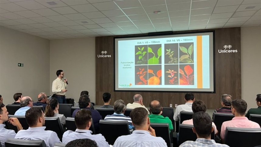 Encontro sobre manejo do greening reúne citricultores em Monte Azul