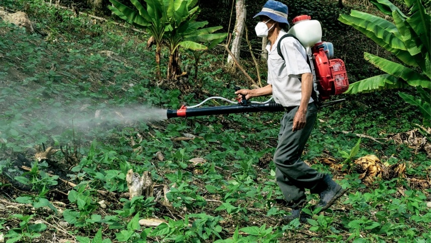 Como aplicar herbicidas pós emergentes