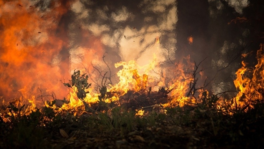 Brasil teve 47 mil quedas de luz causadas por incêndios
