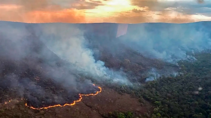 Incêndios podem ter afetado mais de 11 milhões de pessoas no Brasil