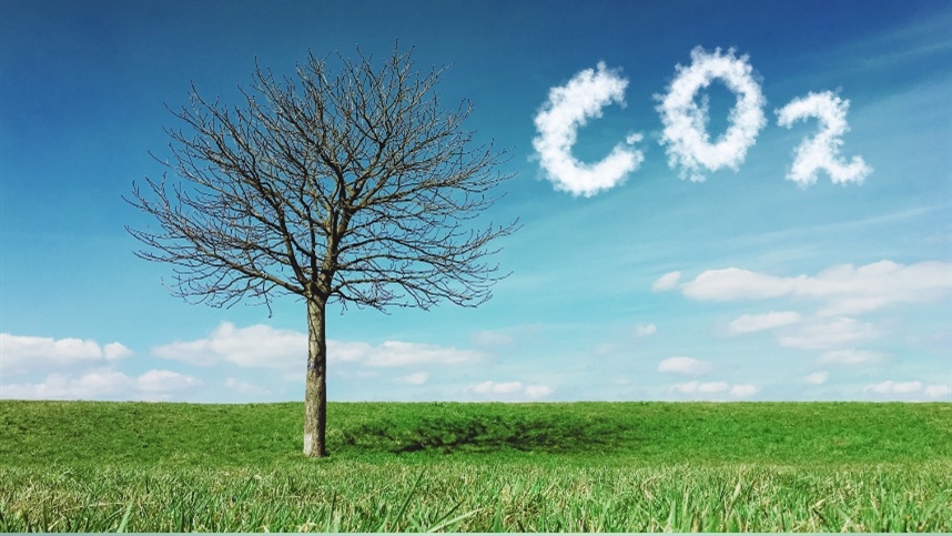 Como funciona a redução da pegada de carbono?