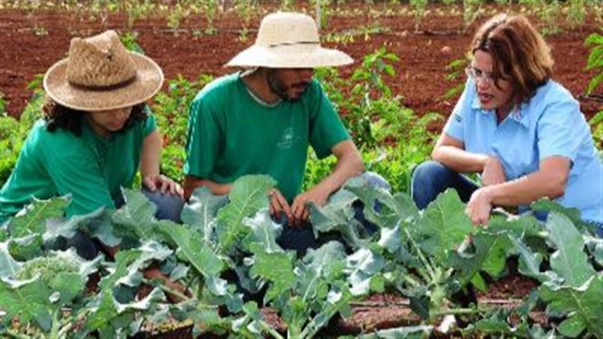 Emater MG encerra o ano de 2021 presente em mais de 800 municípios de