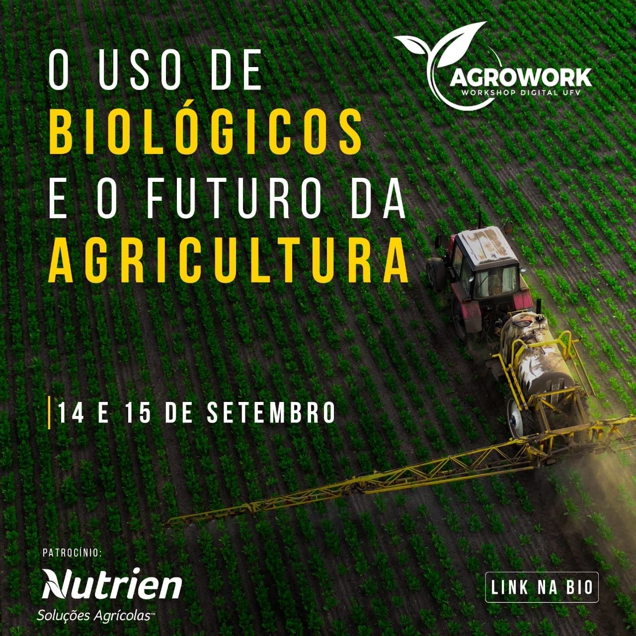 AGROLINK  O Portal do conteúdo Agropecuário. Confira: Noticias