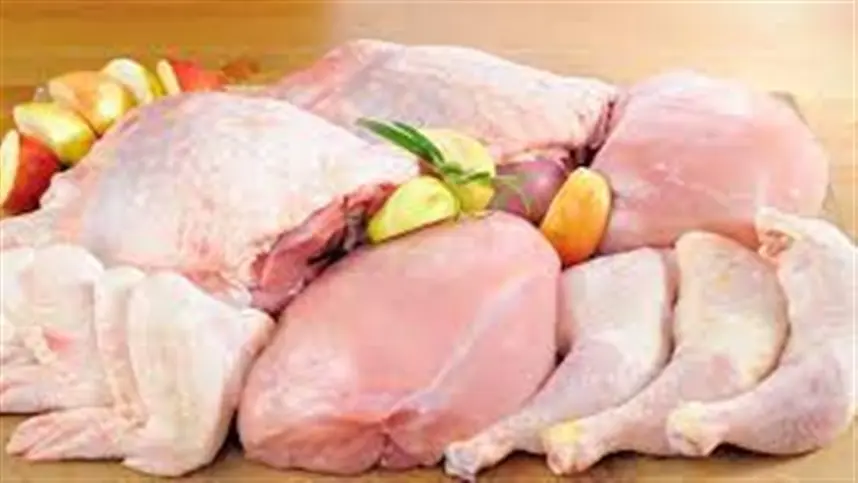 FRANGO: Maior demanda pela carne impulsiona cotação do vivo