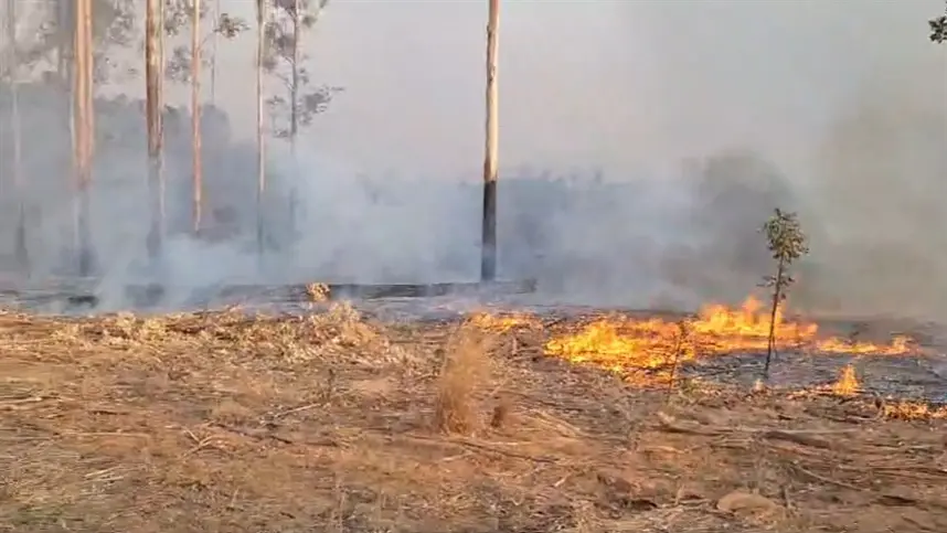 Seca aumenta risco de incêndios e Sistema Faeg/Senar/Ifag reforça ações de prevenção