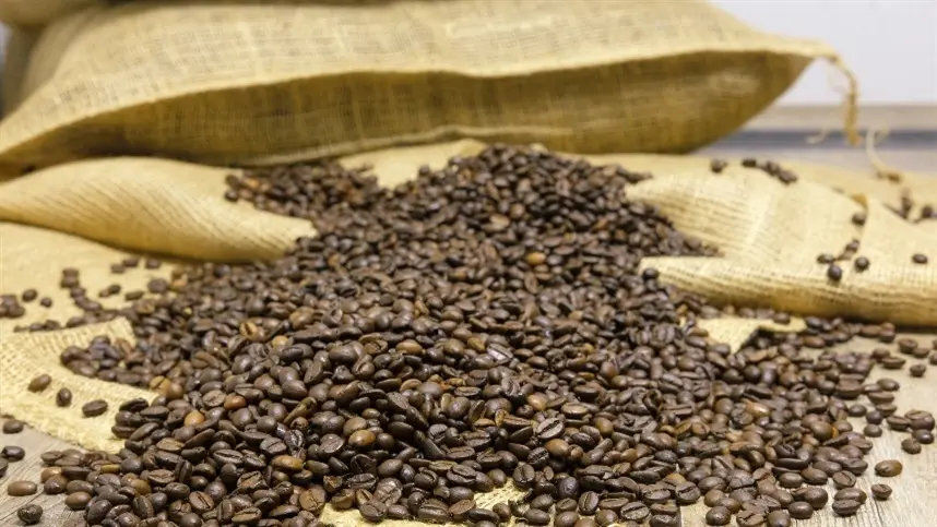 Café encerra colheita e já mira safra 2027/28