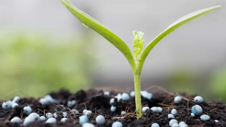 Fertilizantes: Senado aprova programa para estimular produção nacional