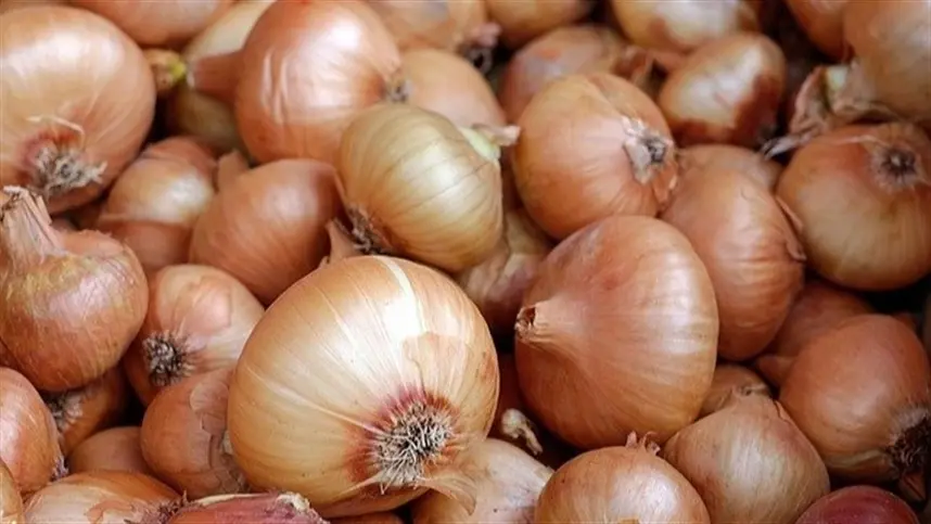 CEBOLA: Oferta restrita de bulbos nordestinos impulsiona cotações