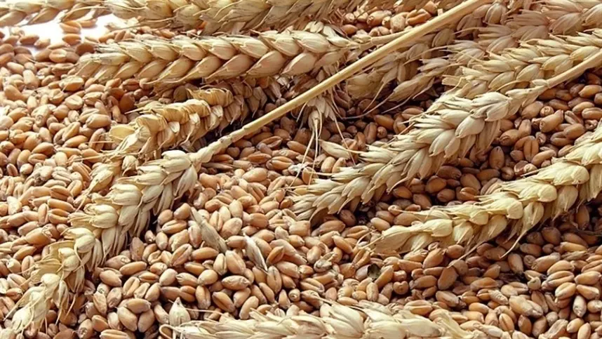 Para os agricultores, a recomendação é aproveitar as valorizações