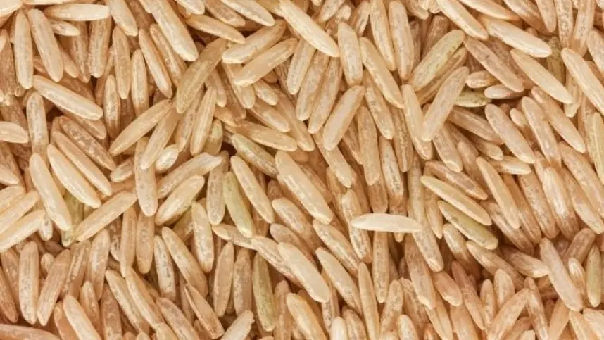 Preço do arroz sobe no RS e atinge maior média em 11 meses