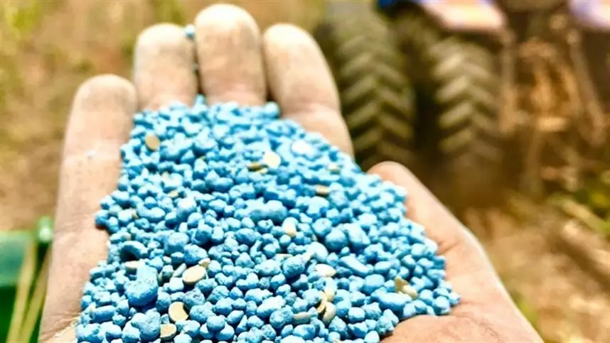 Atualmente, cerca de 12% da soja disponível ainda precisa ser comercializada
