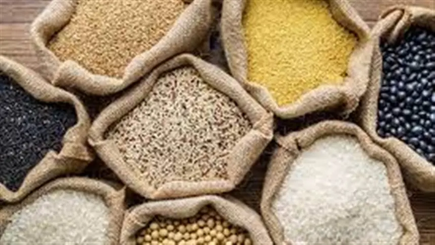 Projeto de Lei 3.289/2026, que altera as regras do Programa de Venda em Balcão e da Lei de Política Agrícola é aprovado no Senado