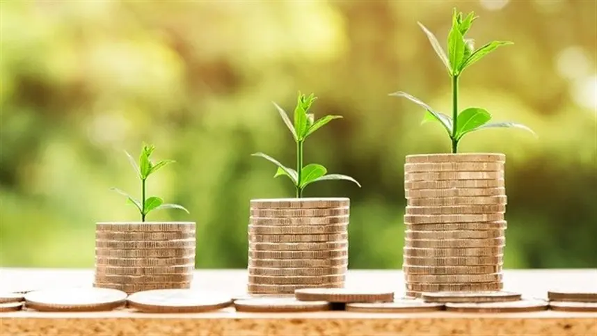 O economista destaca que o crédito chega em um período sensível