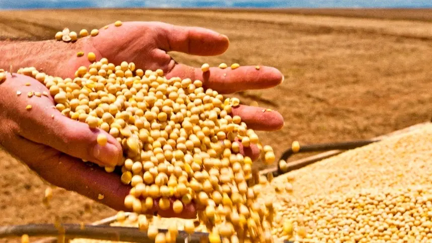 A demanda externa também inspira atenção