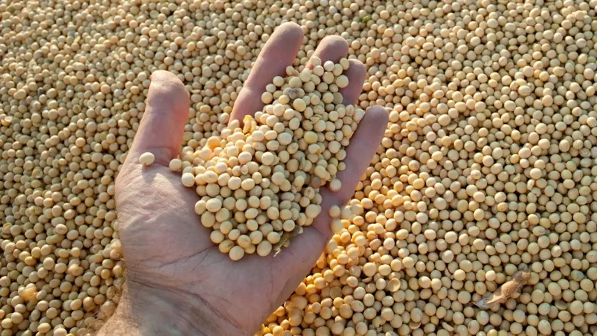 No Rio Grande do Sul, os preços subiram R$ 2 por saca em três praças