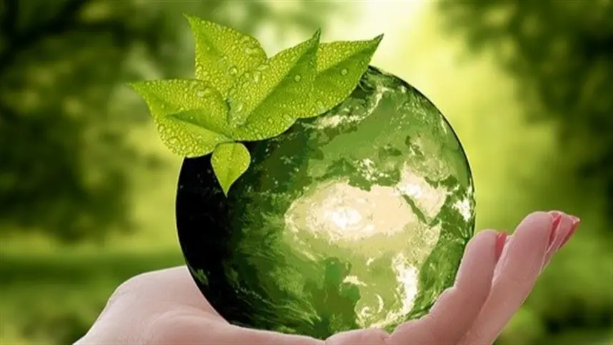 A pesquisa harmonizou definições de modelos como agroecologia