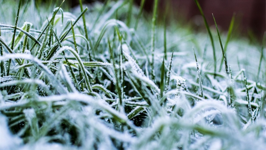 Nova massa de ar frio trará geadas e mínimas de 3°C