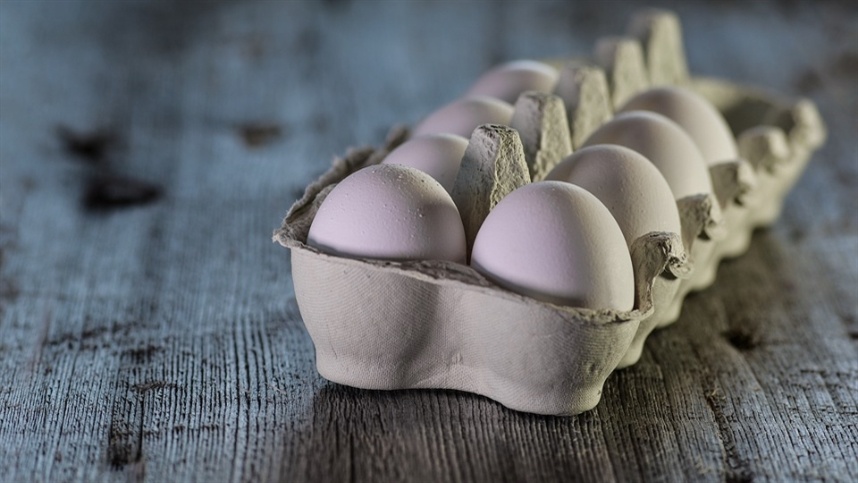 Vendas de ovos disparam e preços alcançam maior nível desde 2023