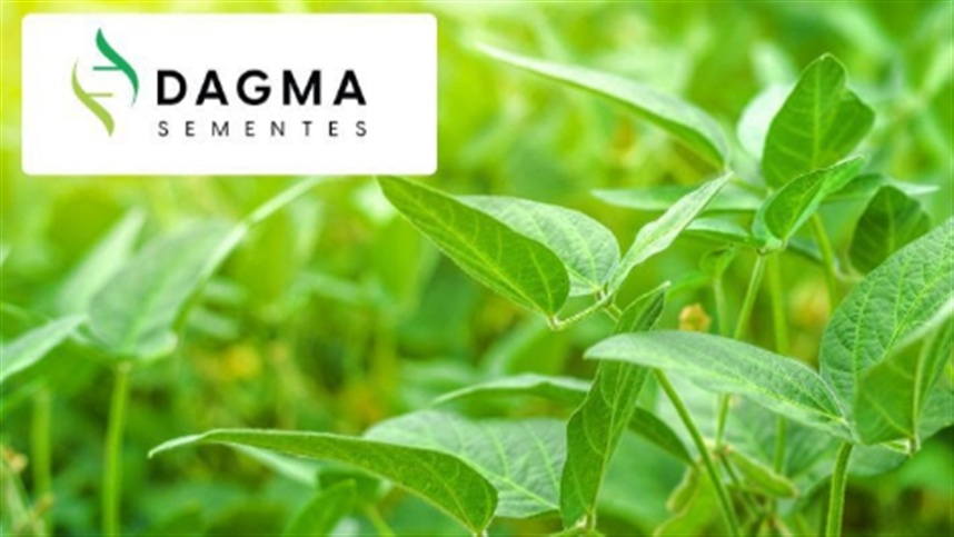 Sigmam Brasil – Equipamentos para Produtores de Sementes de Soja e
