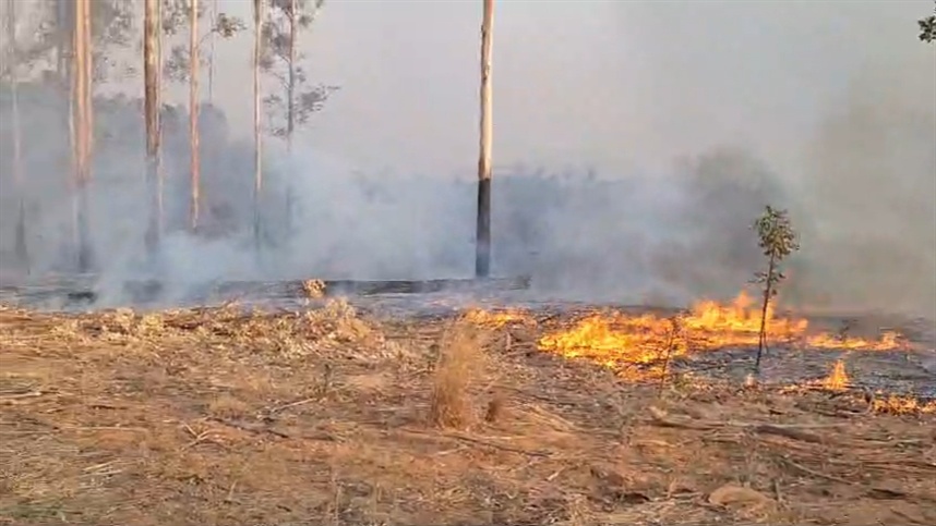 Califórnia em chamas marcam semana de extremos nos EUA