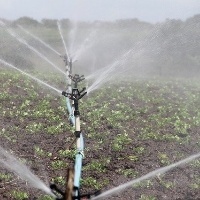 Uso da água no campo exige autorização; veja o que fazer para ficar em dia  com a Lei