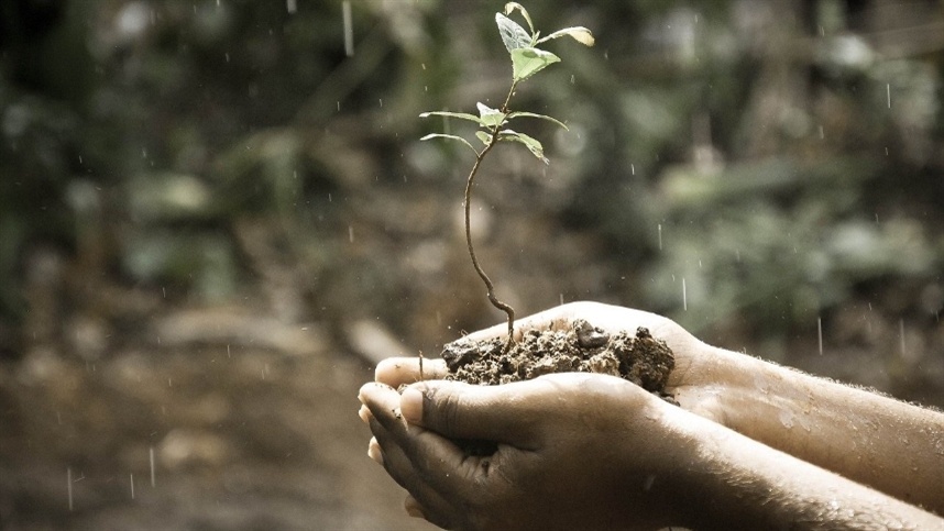 Safra 24/25 tem potencial para ser recorde, mas depende do clima, diz meteorologista