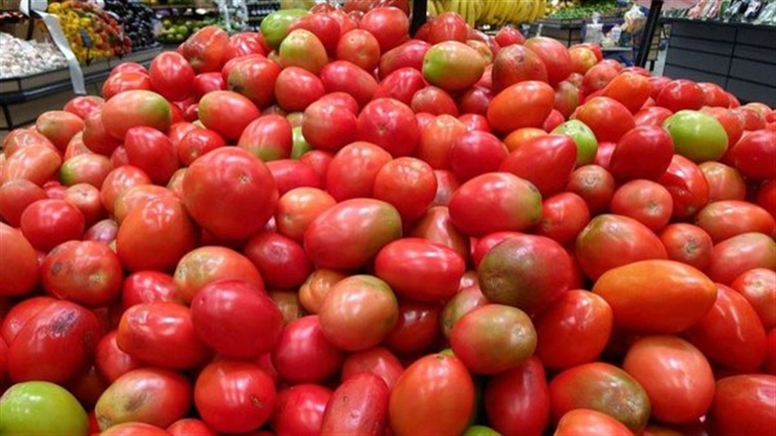 Aumento nos preços do tomate preocupa consumidores