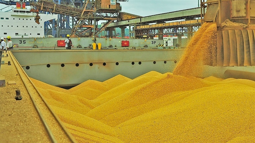 Exportações de sja do Brasil batem recorde