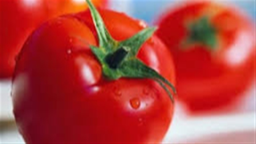 Goiás lidera produção de tomate no Brasil