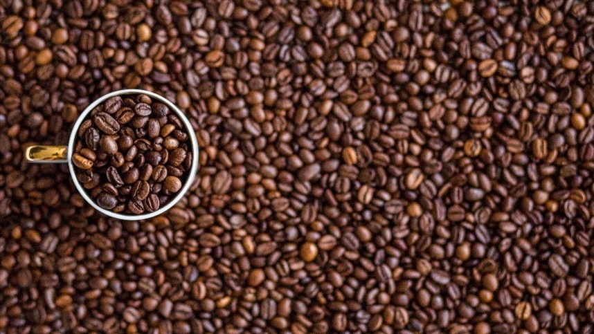 A valorização desta variedade de café registrou aumento de 13,3% no decorrer do mês de março,
