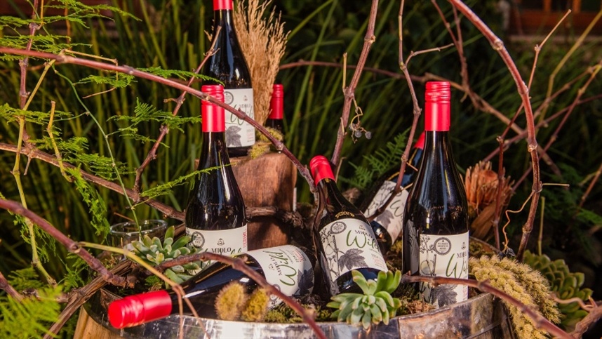 Chega ao mercado o primeiro vinho tinto da Safra 2024