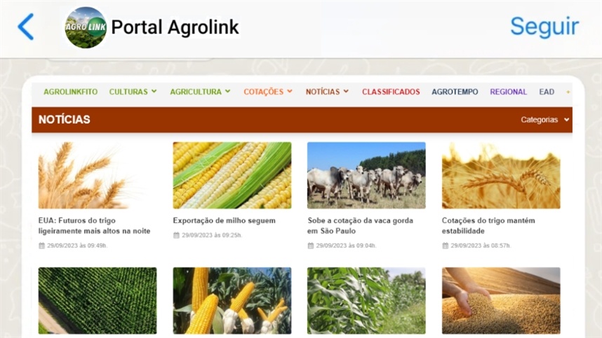 Agrolink no WhatsApp: mantenha-se informado onde estiver