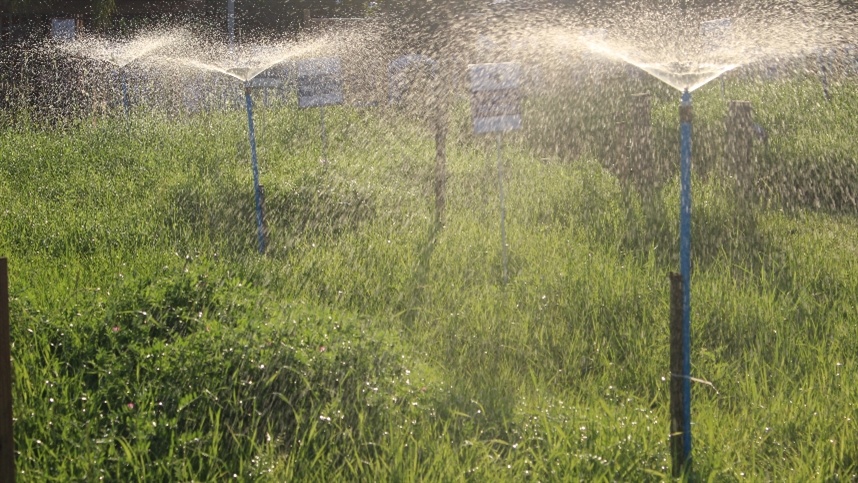 Oeste da Bahia lidera irrigação agrícola no Brasil