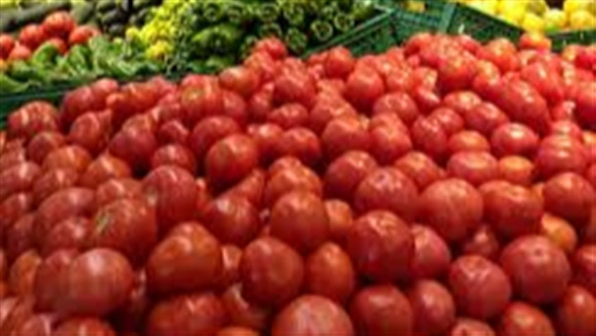 Tomate registra aumento de preço na Serra Gaúcha