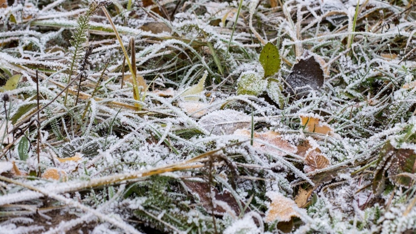 Alerta de frio: Inmet prevê mínimas abaixo de 5ºC