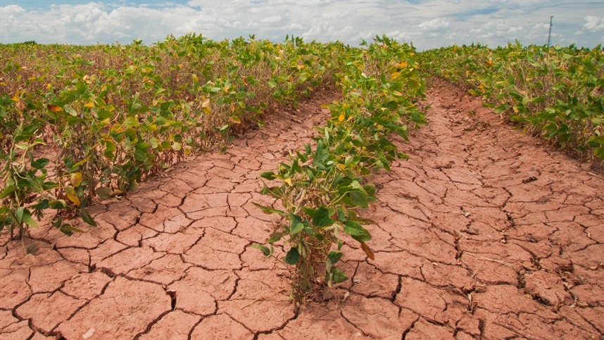 Chuvas irregulares no Centro-Oeste e Norte preocupam o agro