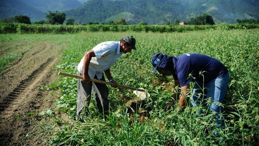 Goiás e Chile firmam parceria para fortalecer a agricultura familiar